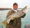 Lake Trout- A Monster caught Jigging